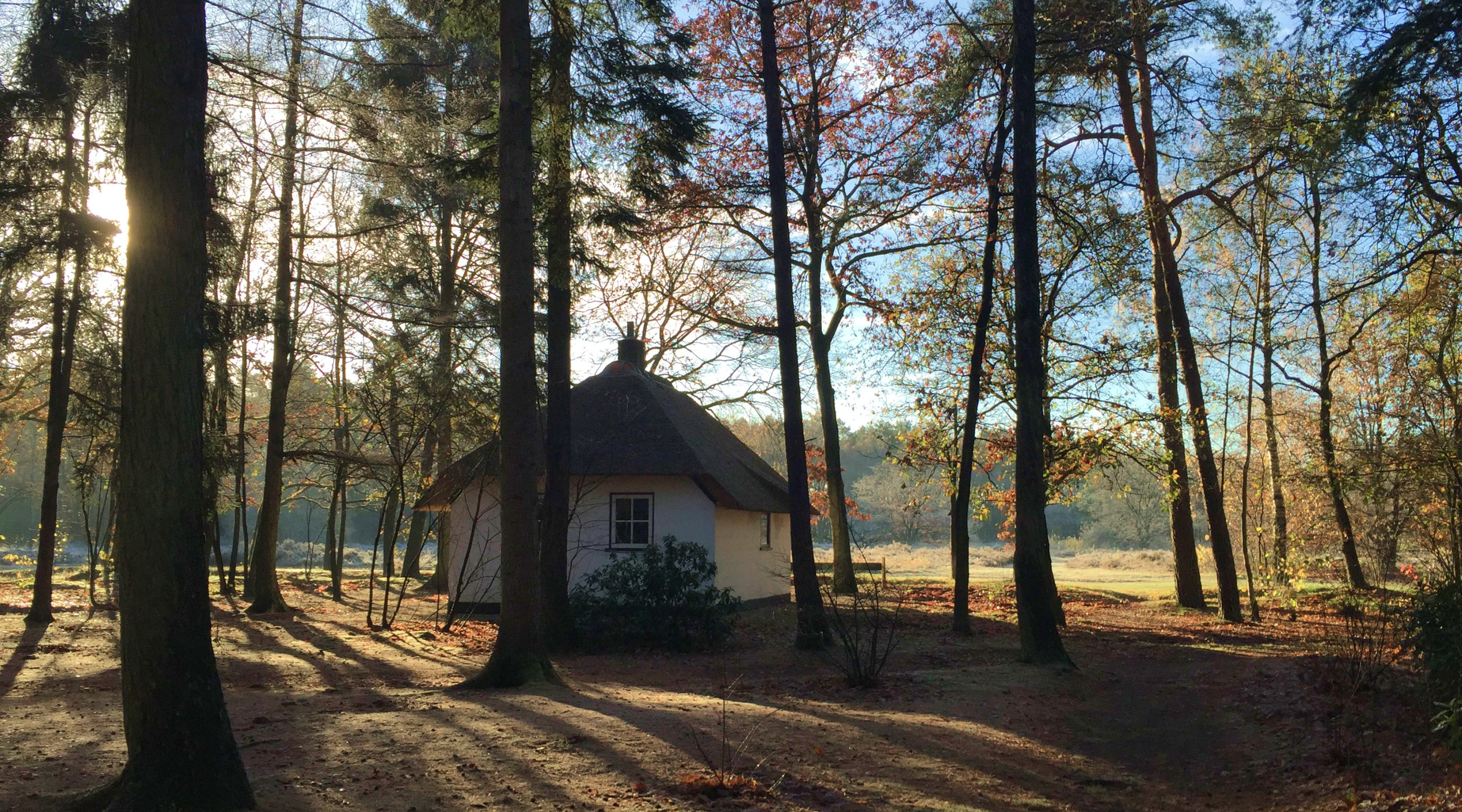 Huisje in het lorkenbos