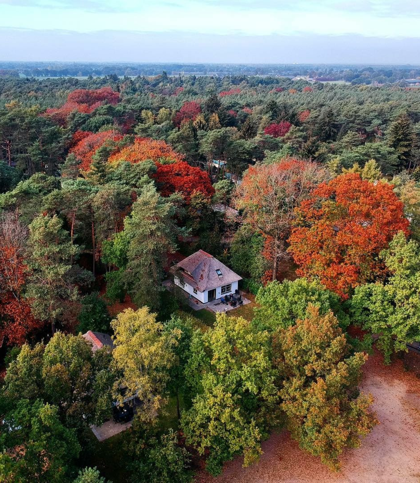 Het lorkenbos vakantiehuisjes vanuit de lucht