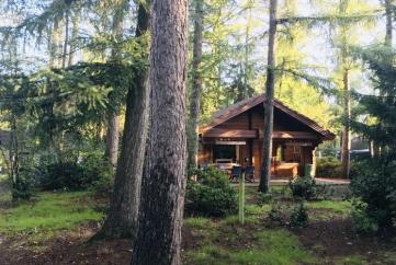 Familiehuis De Fin met vide