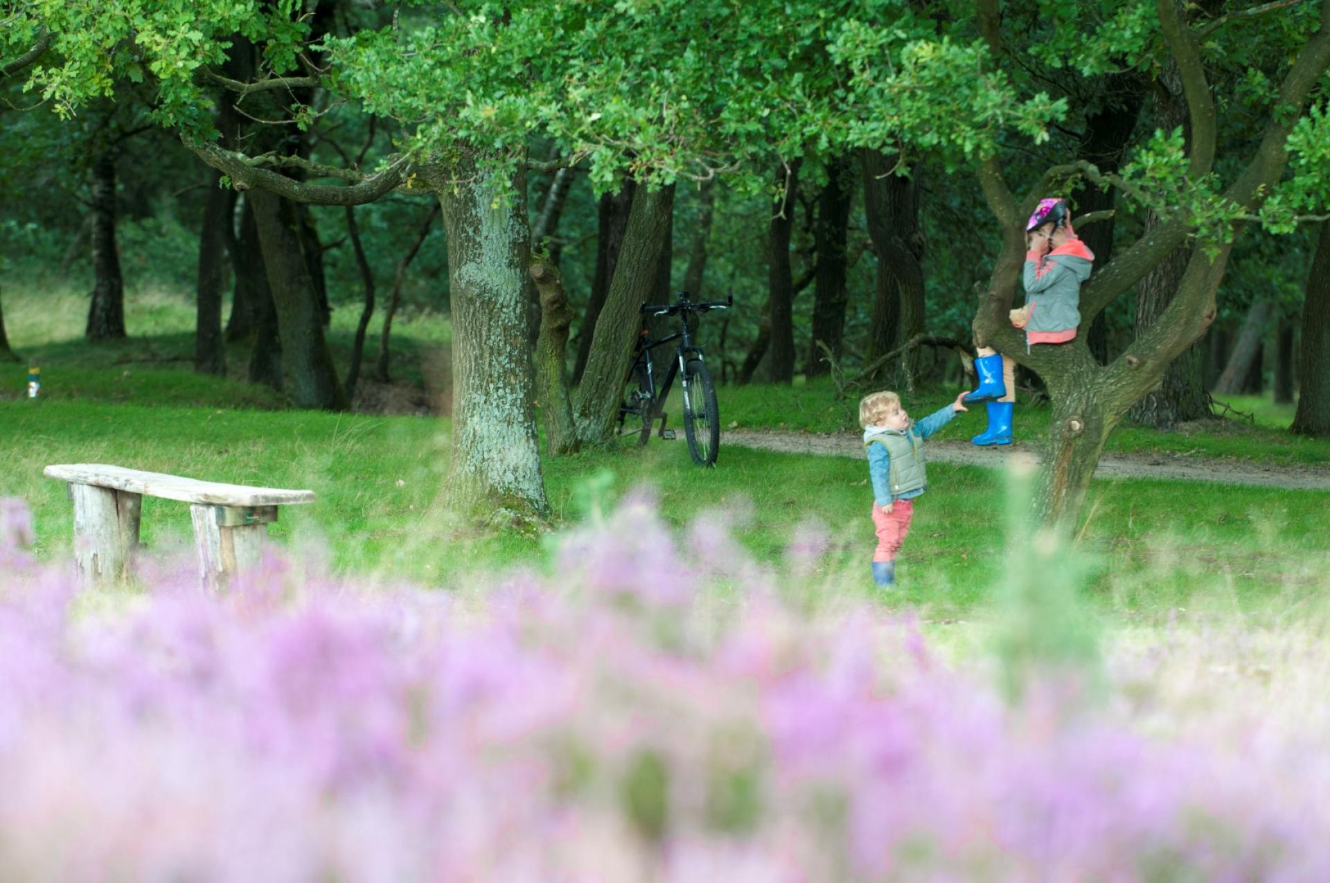 Kind klimmen natuur