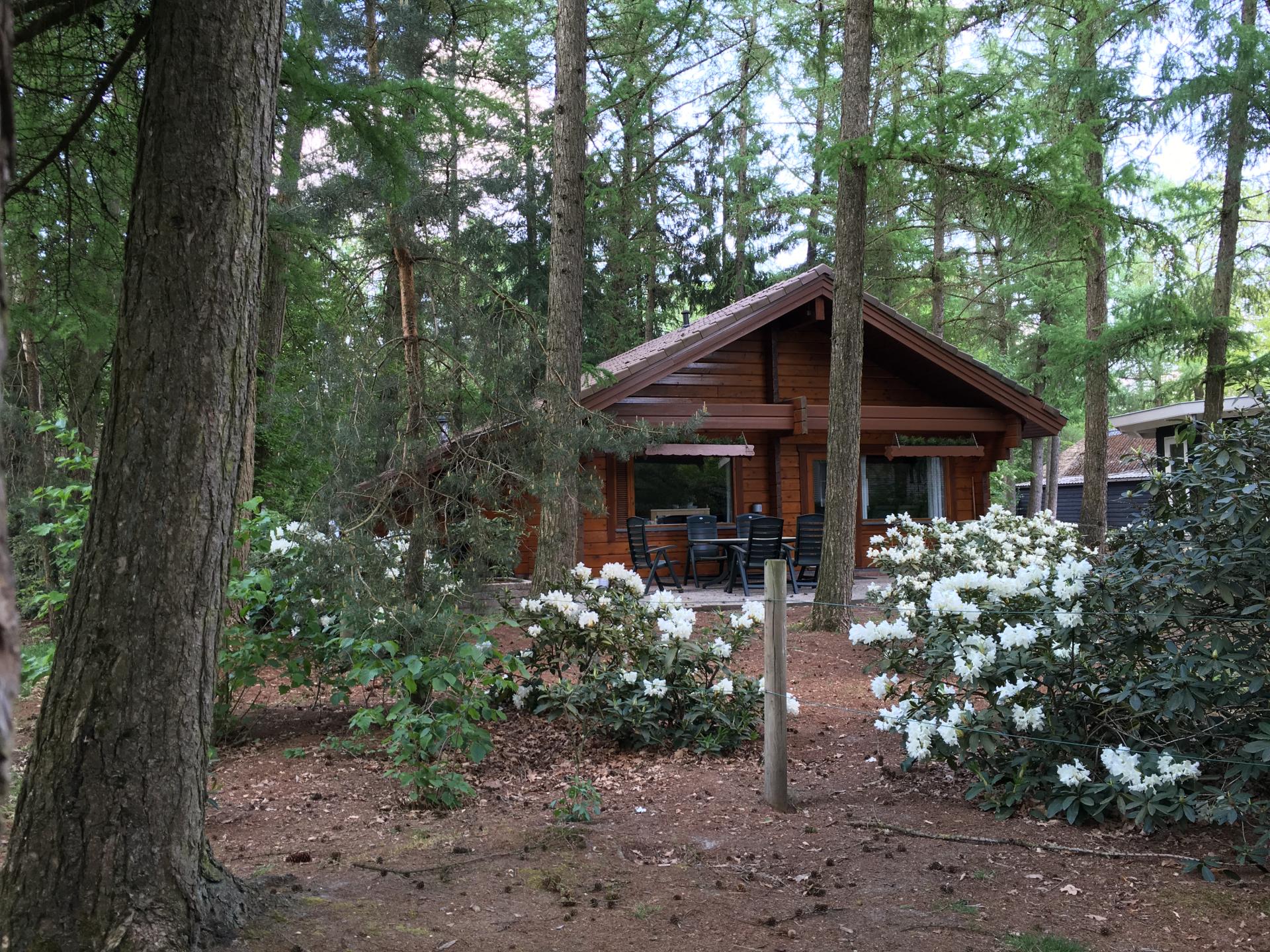 Bungalow de fin lente