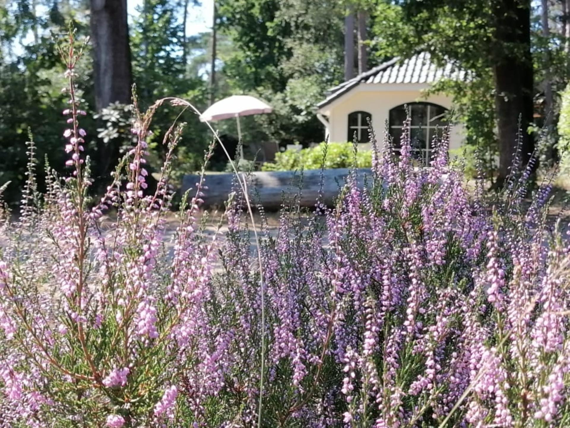 Korhoen heide parasol