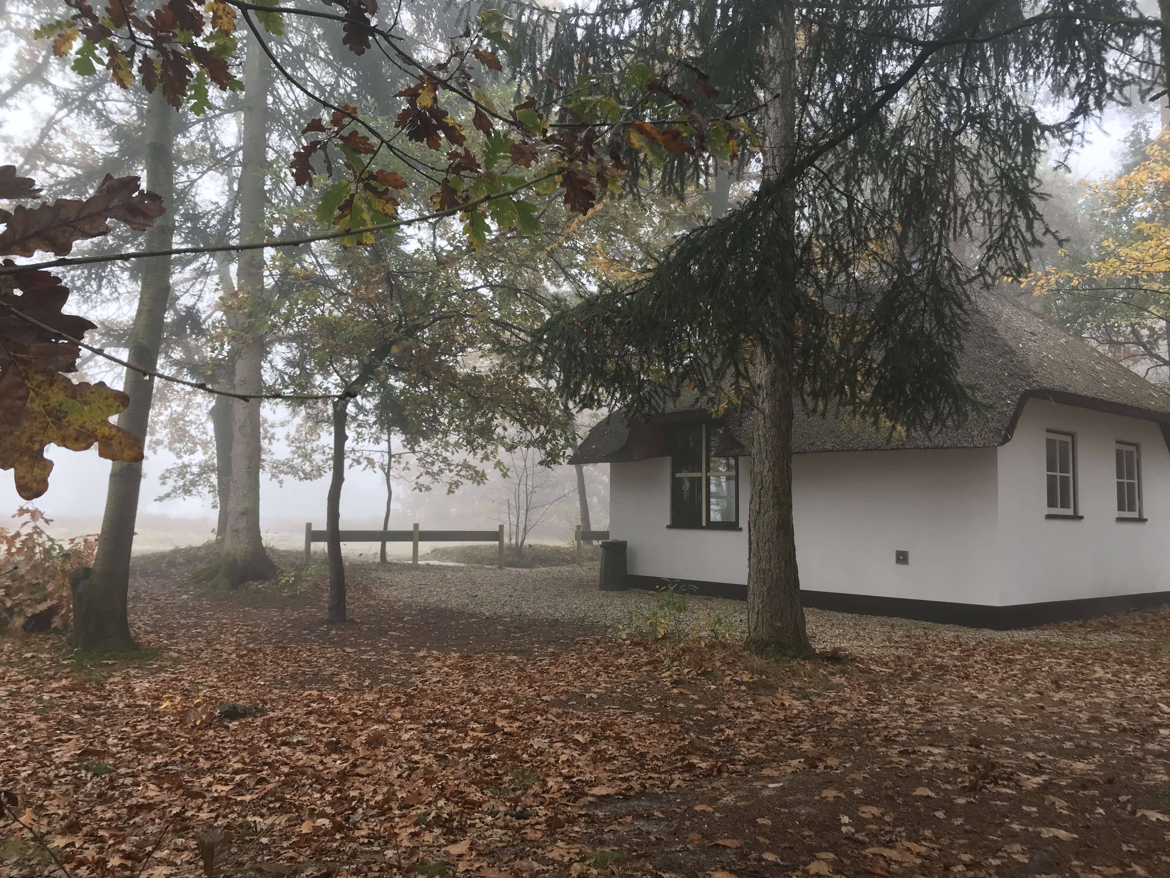 Bungalow Berken ligt vrij aan de heiderand
