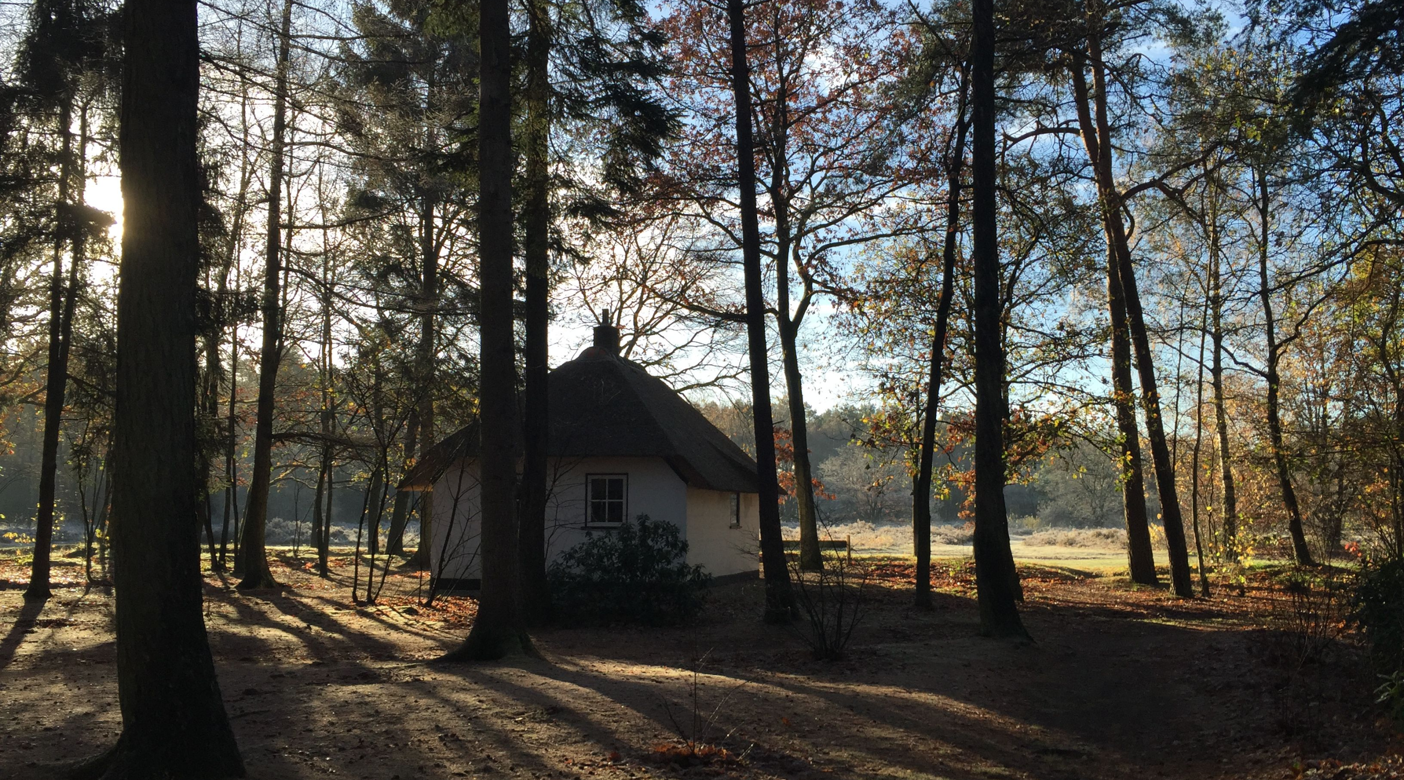 Huisje in het lorkenbos