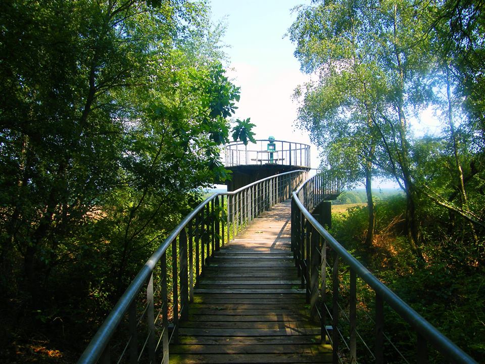 Omgeving natuur wandelen uitkijkpunt valenberg