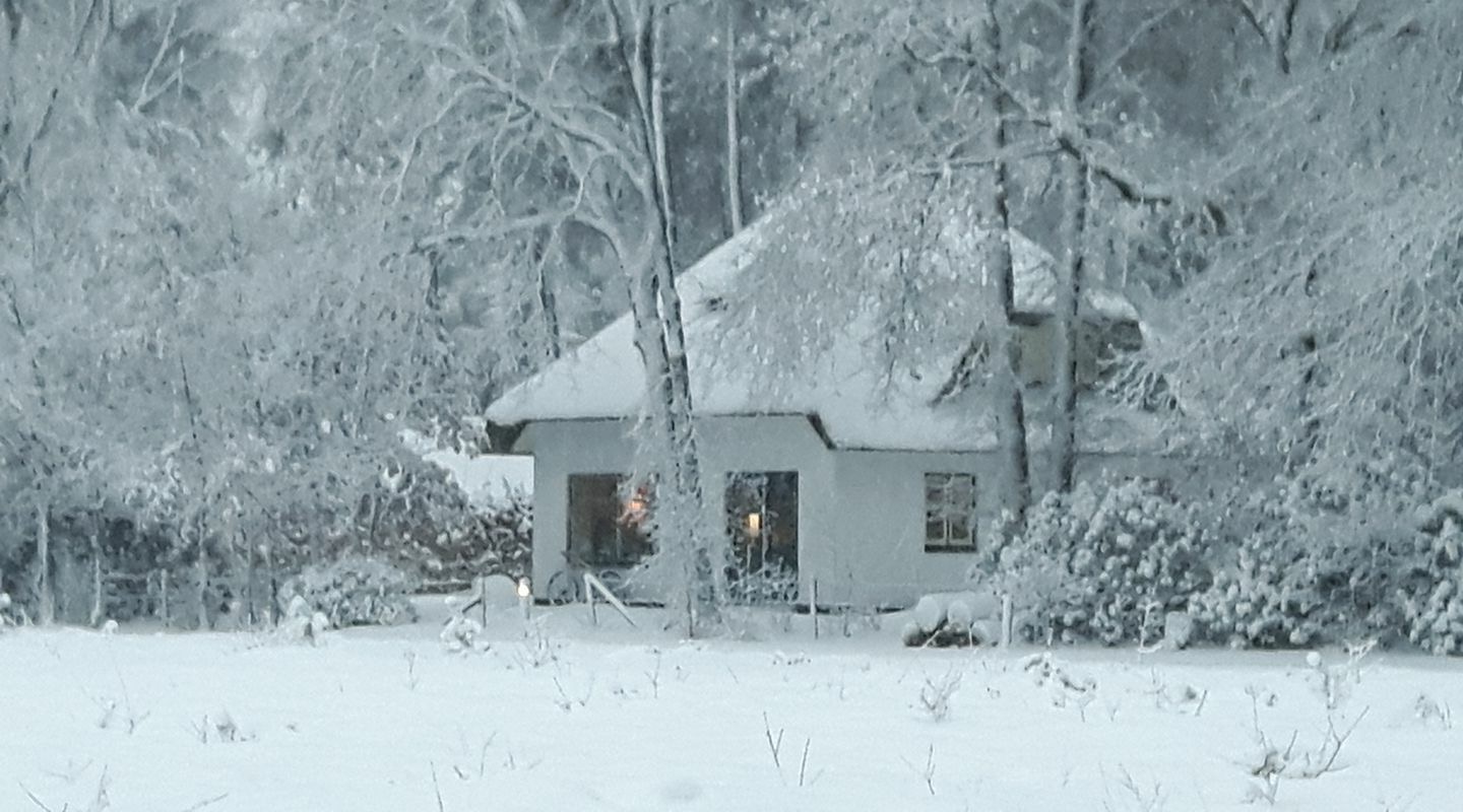 Beekje winter