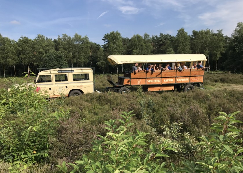 Beekse hoeve Otterlo Safaririt