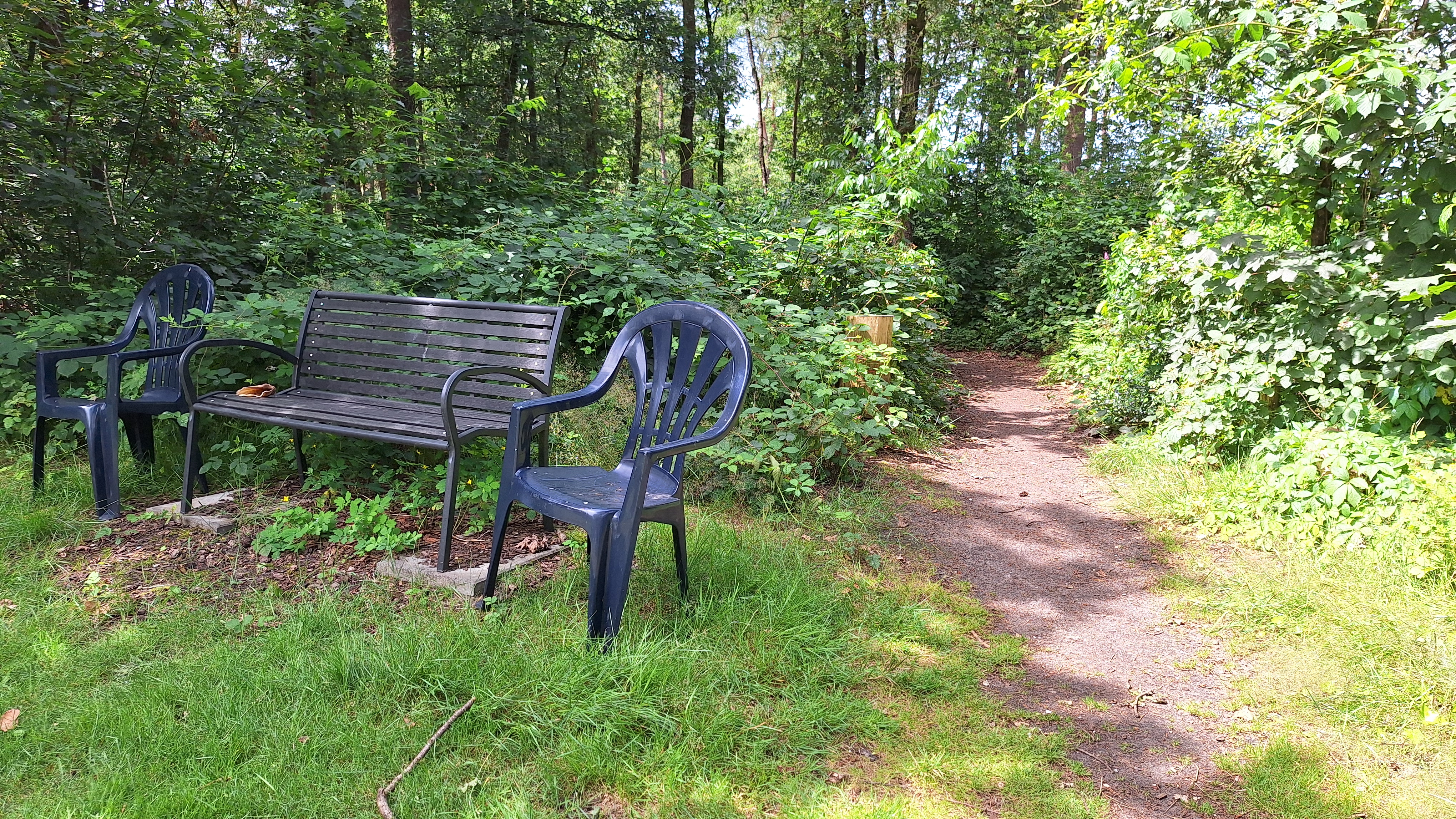 Kamperen camping Lorkenbos Noord